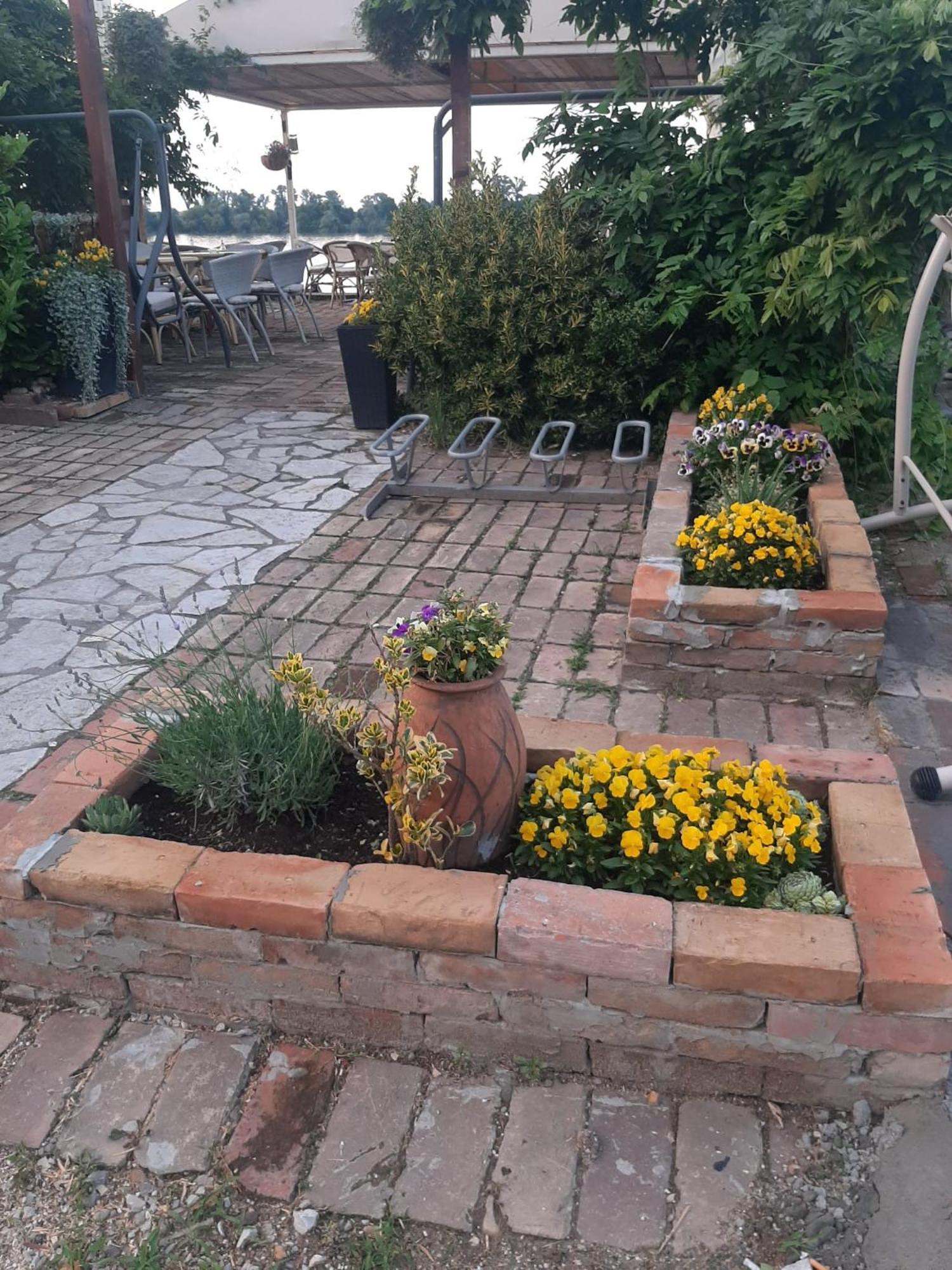 River Hostel בלגרד מראה חיצוני תמונה