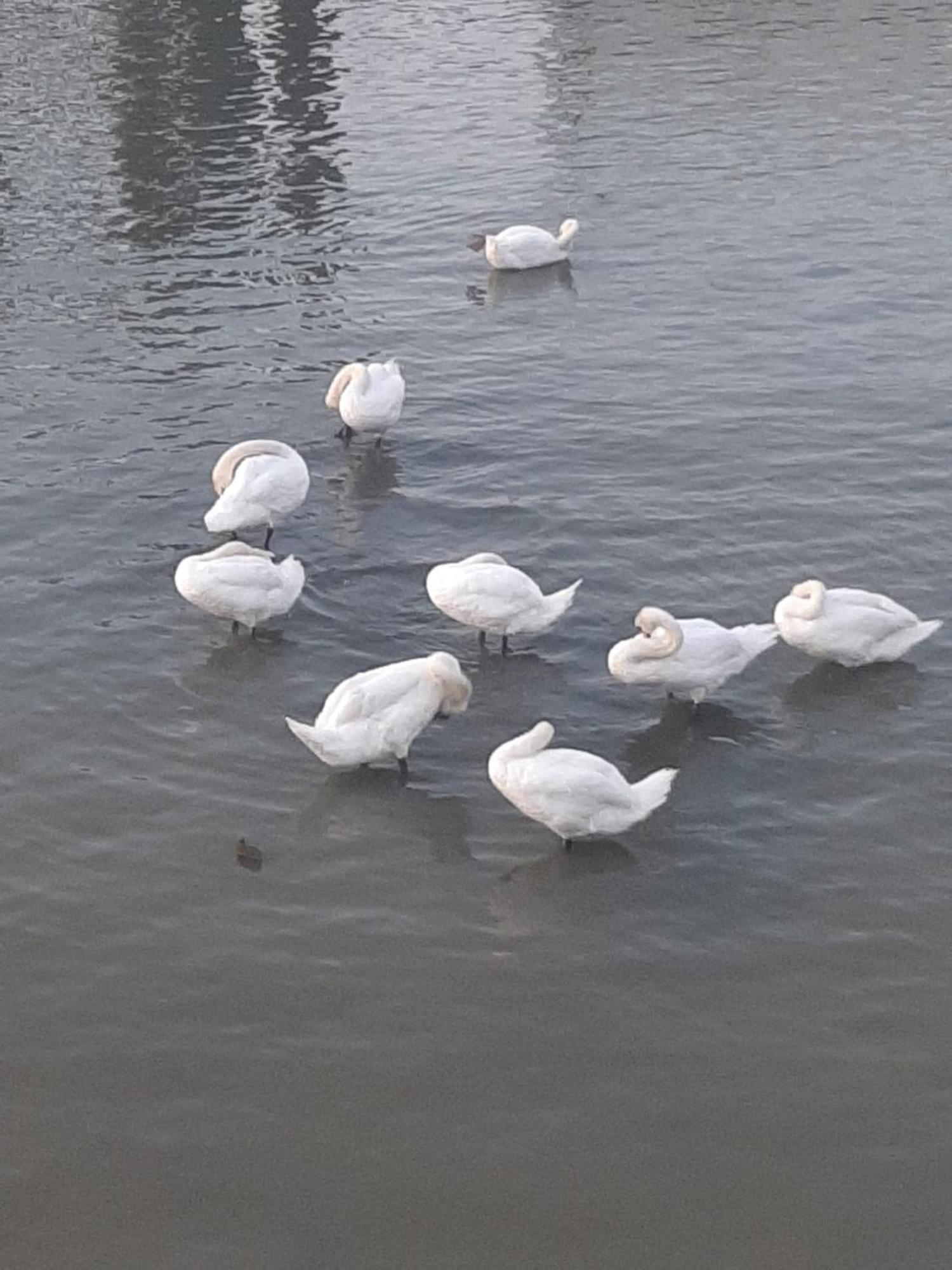 River Hostel בלגרד מראה חיצוני תמונה